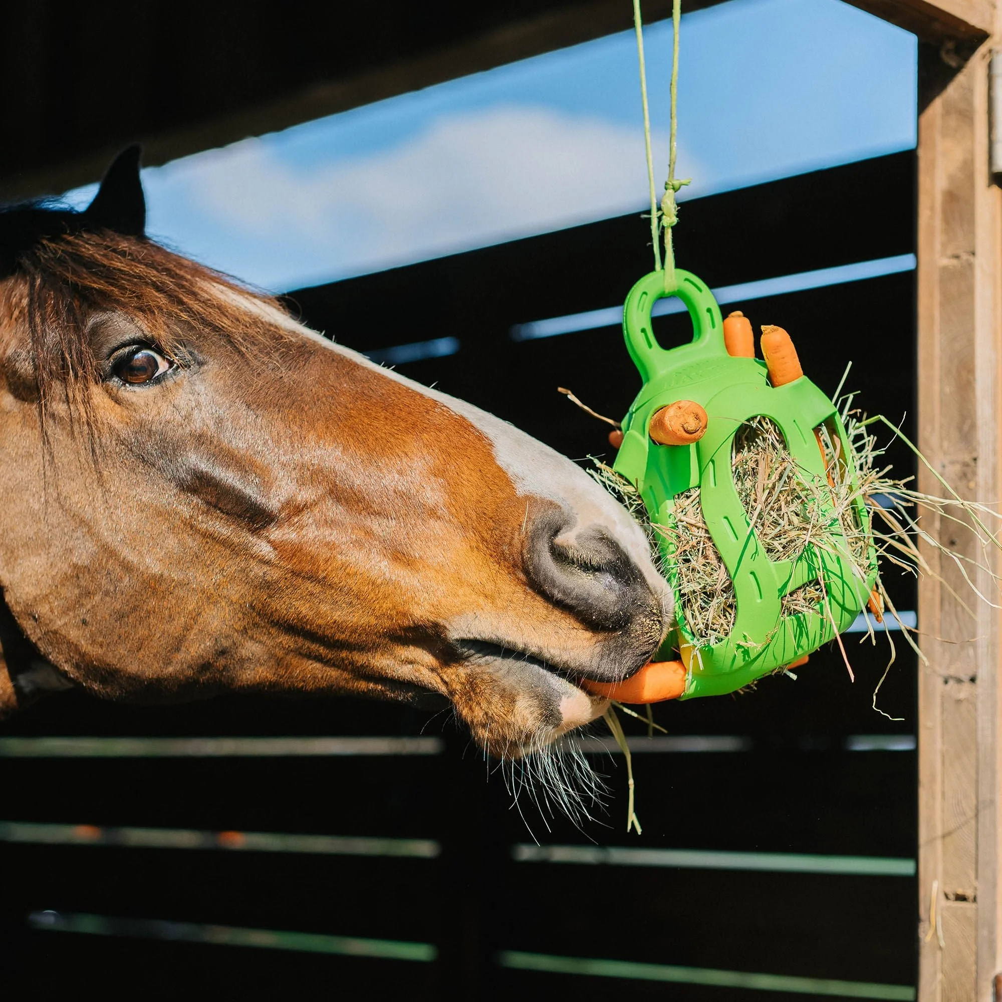 Jolly Hay Ball, 8" – Interactive Horse & Livestock Toy for Hay Feeding and Enrichment - Image 5
