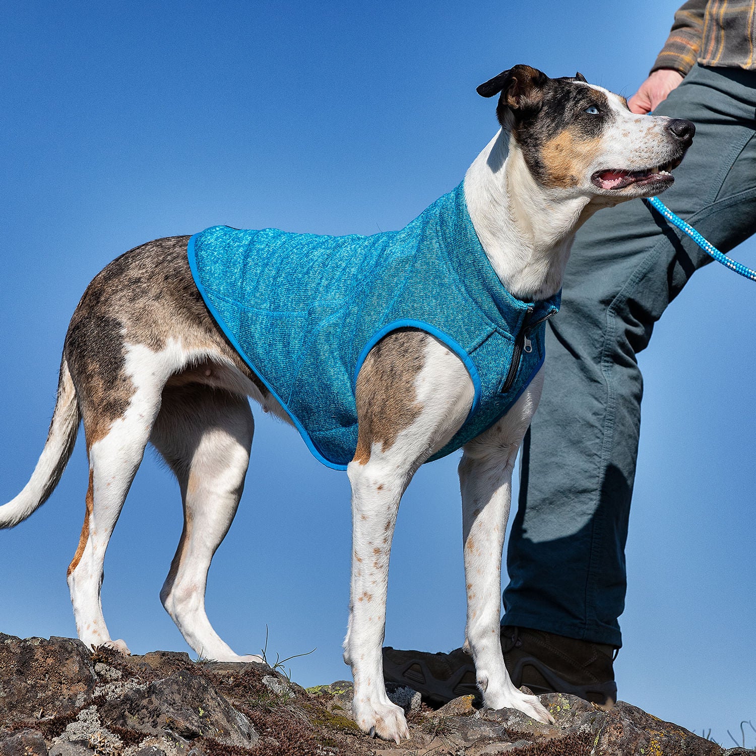 Kurgo K9 Core Dog Sweater - Image 10