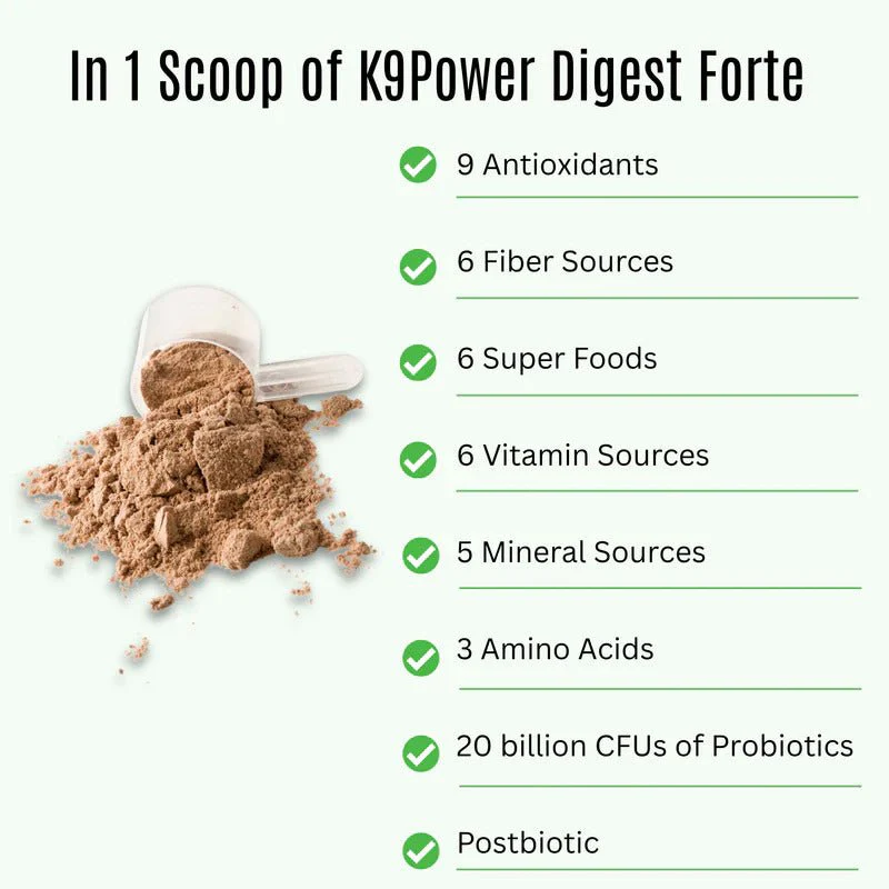 K9 Power Digest Forte Digestion & Immune Formula for Dogs - Image 3