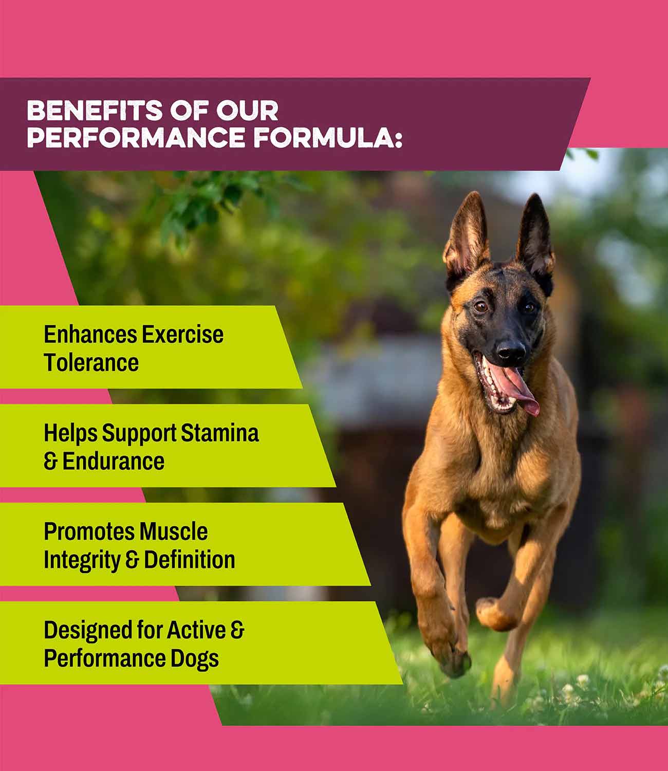 K9 Power Super Fuel Performance Supplement for Dogs - Image 2