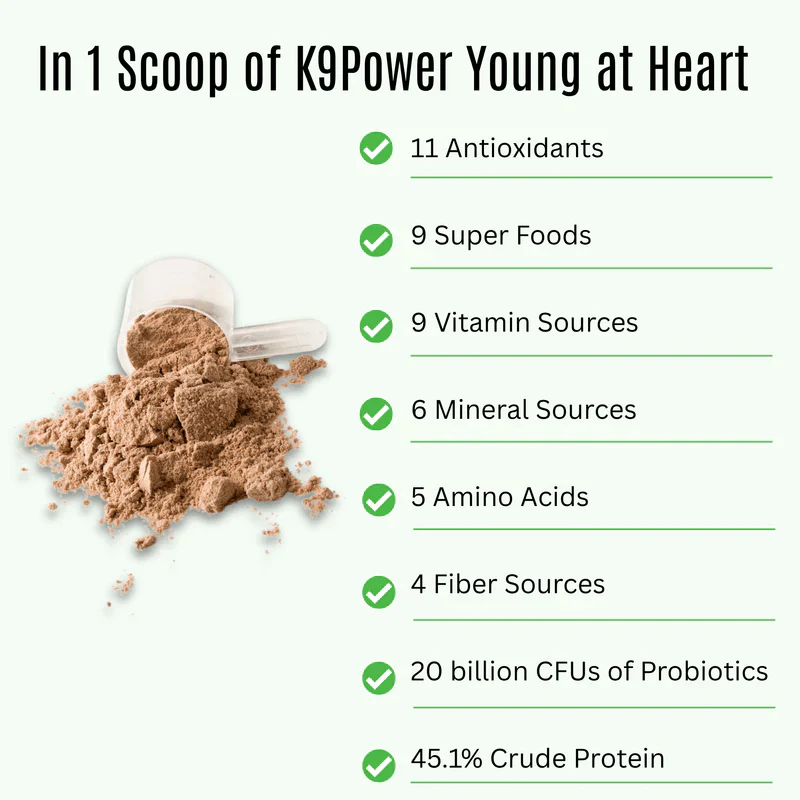 K9 Power Young at Heart Senior Dog Health Formula - Image 3