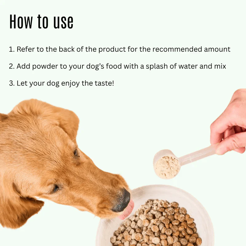 K9 Power Young at Heart Senior Dog Health Formula - Image 6