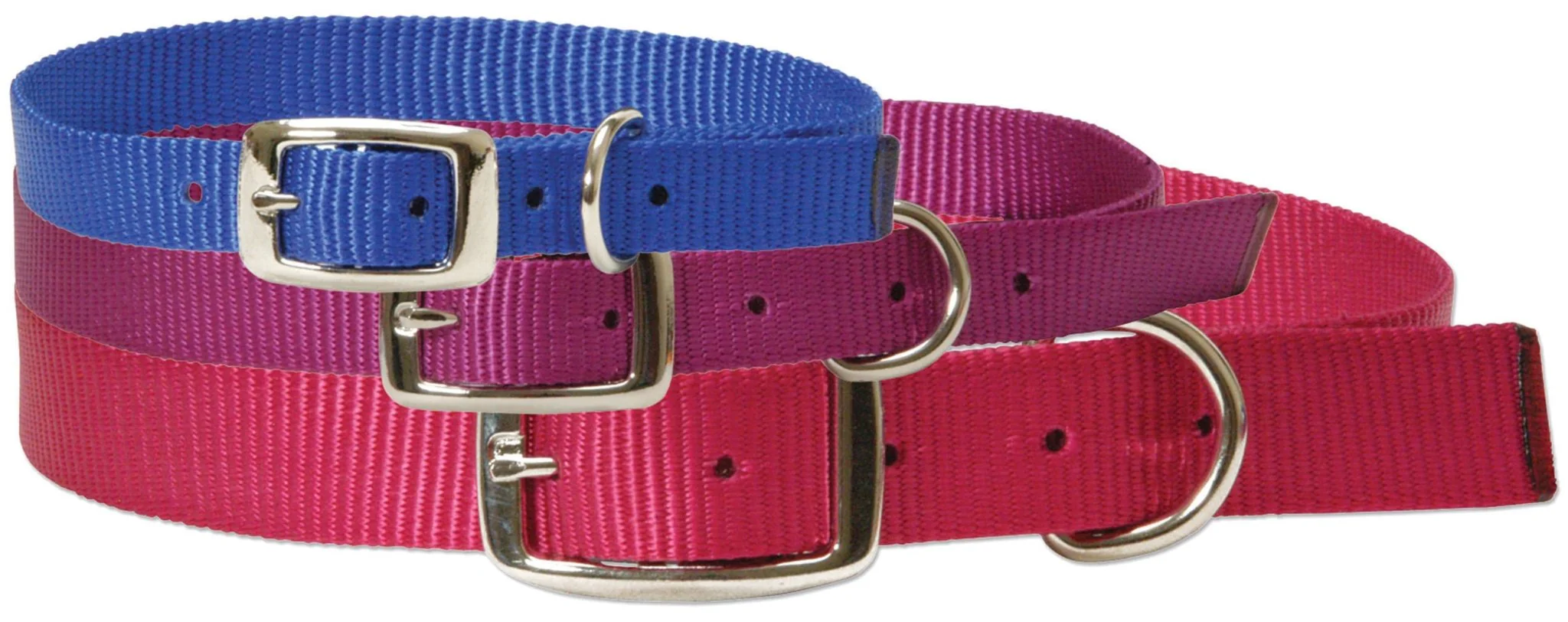 Weaver Nylon Goat Collar with Nickel Hardware – Kid & Doe Sizes - Image 3