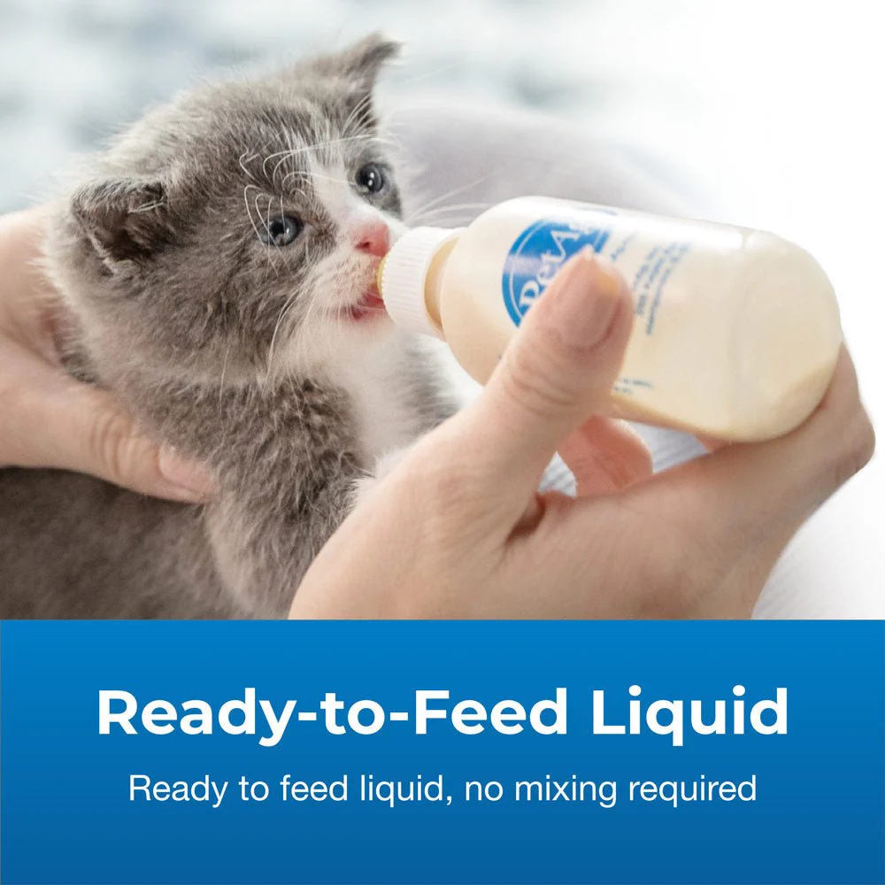 PetAg KMR Kitten Milk Replacer Liquid Supplement, Ready-to-Feed Formula with Vitamins - Image 6