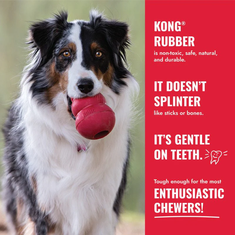 KONG Goodie Bone Rubber Dog Chew Toy, Medium - Image 8
