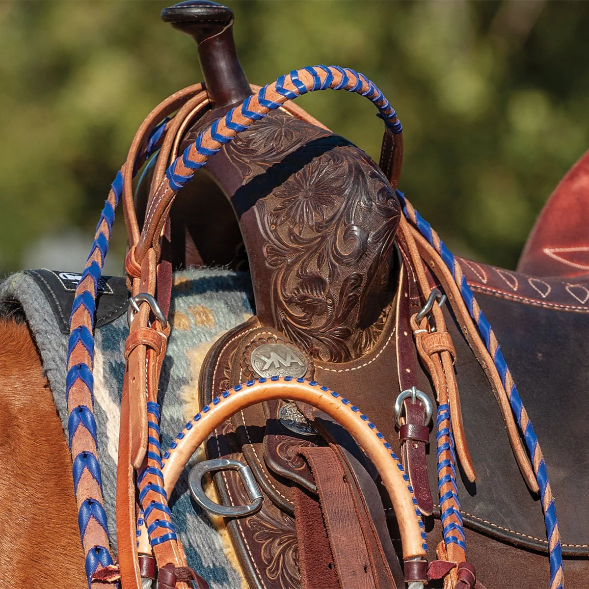 Classic Equine Laced Browband Headstall, Full - Image 6
