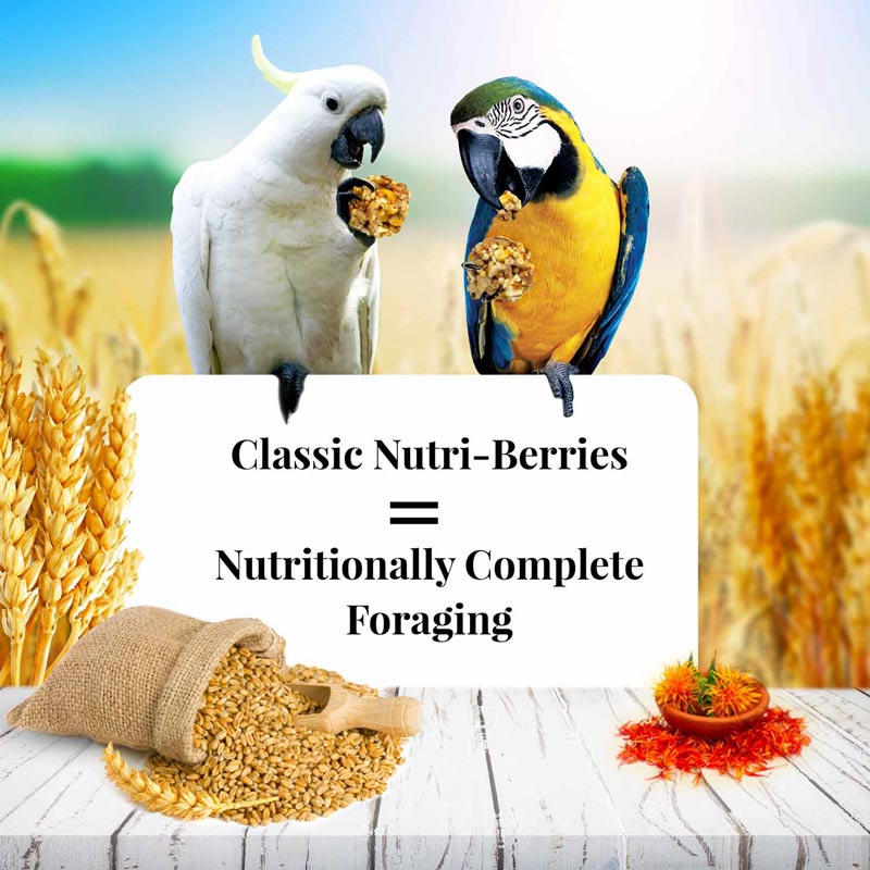 Lafeber Classic Nutri-Berries Bird Food, 10 oz – Foraging Formula for Small, Medium & Large Birds - Image 10