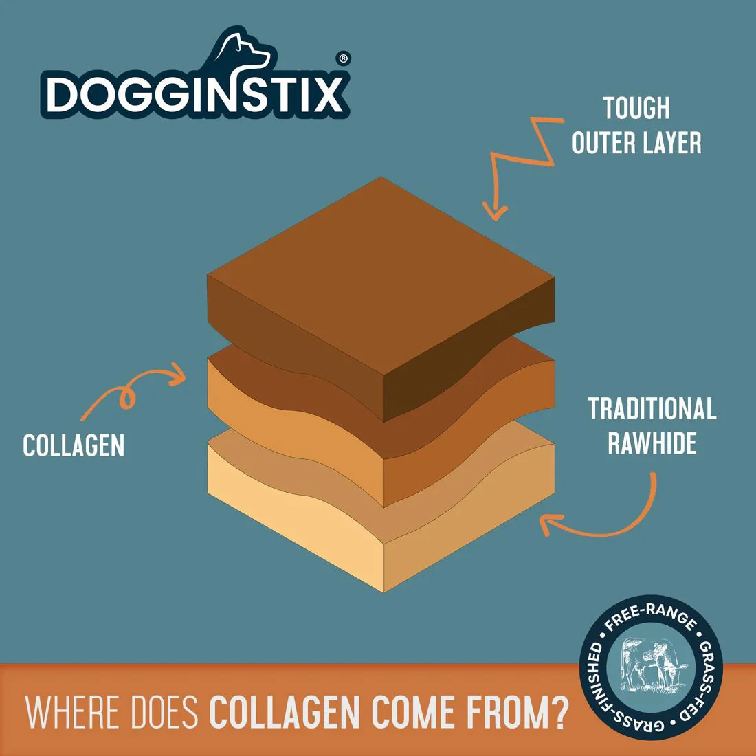 Dogginstix Braided Lamb Collagen Barbell Dog Chew – Natural, Grass-Fed, Low Fat Treat - Image 5