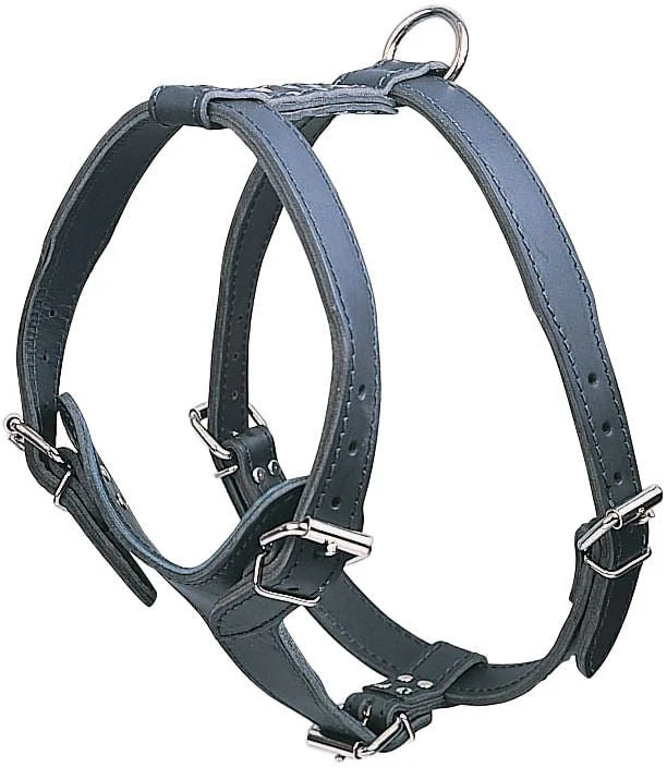 Latigo Leather Medium Harnesses, Plain - Image 3