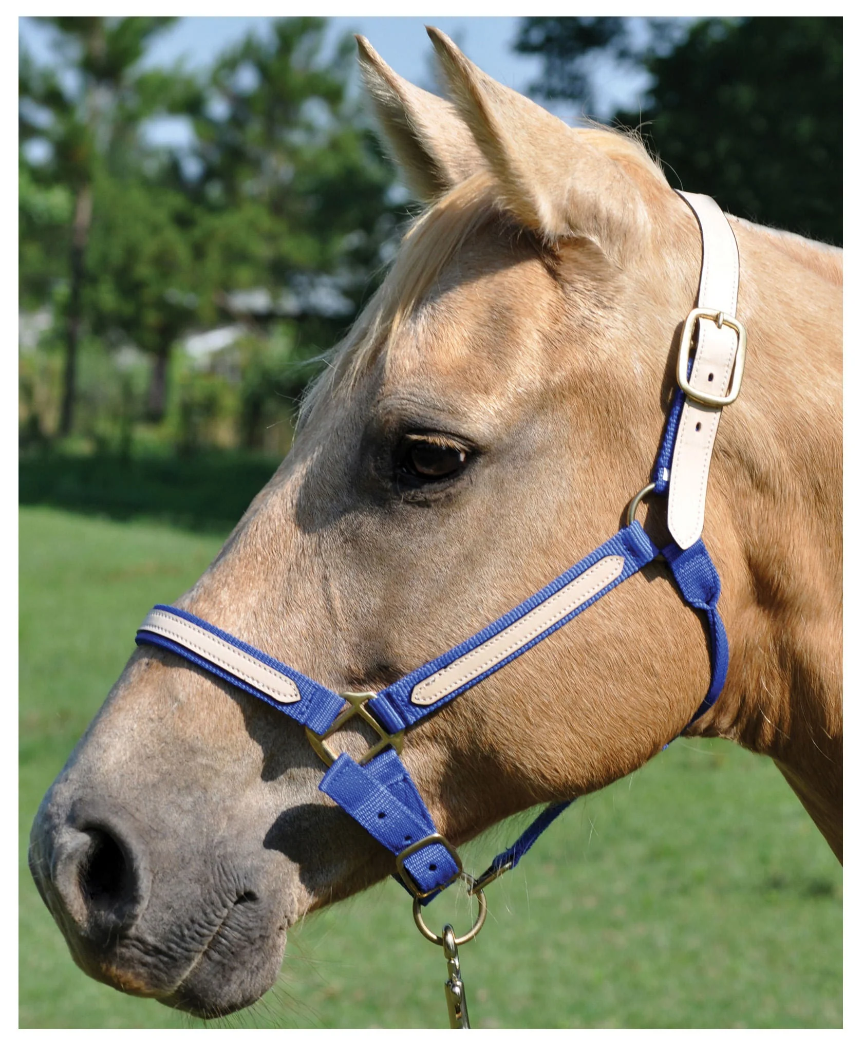 Tough1 Leather Overlay Breakaway Horse Nylon Halter - Image 4
