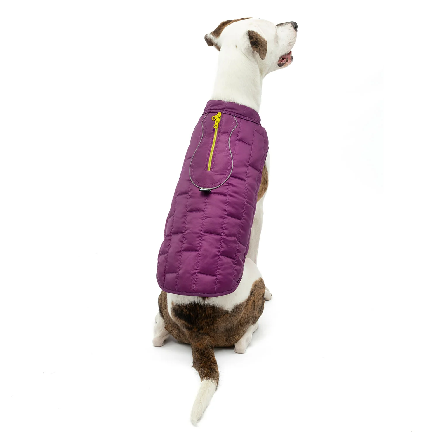 Kurgo Reversible Loft Jacket - Image 49