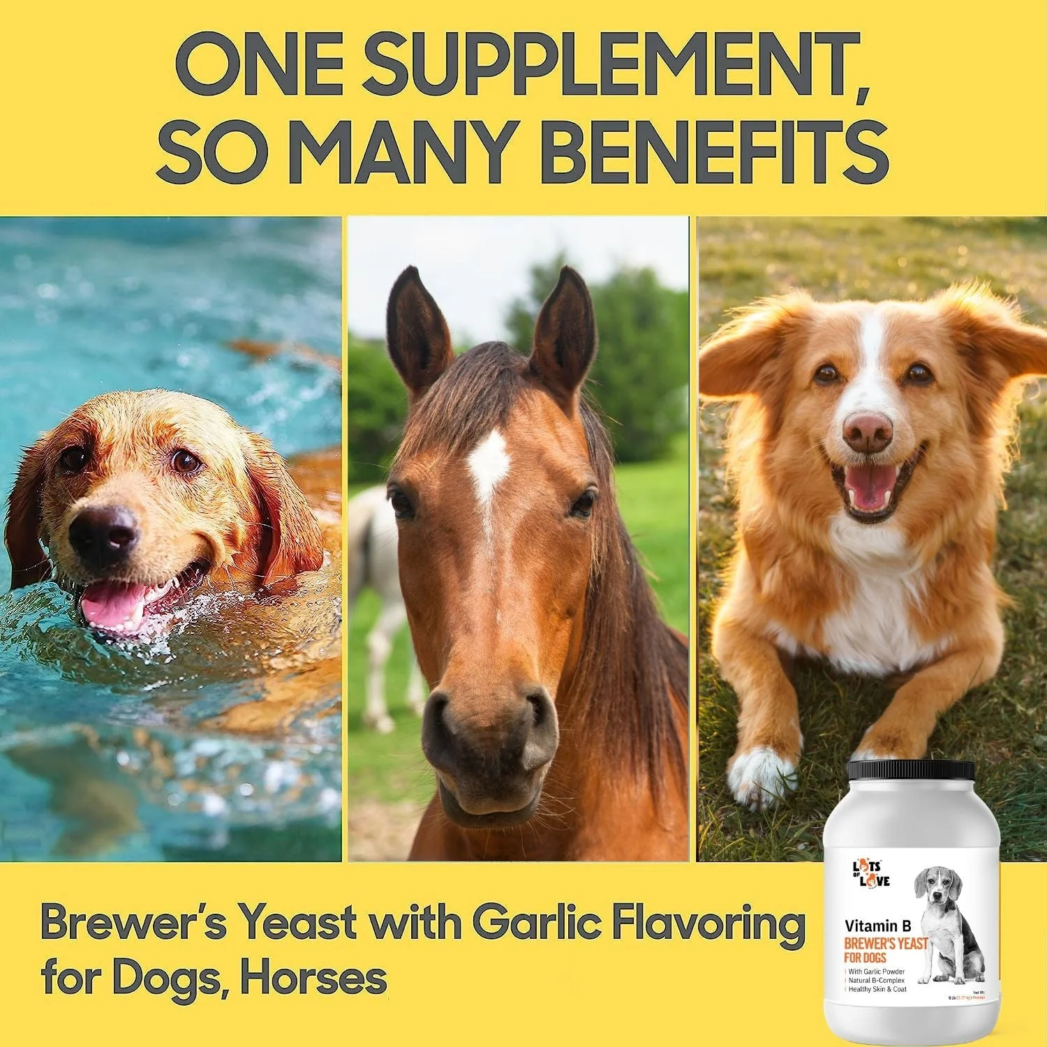 Lots of Love Brewer's Yeast/Garlic Powder - Image 10