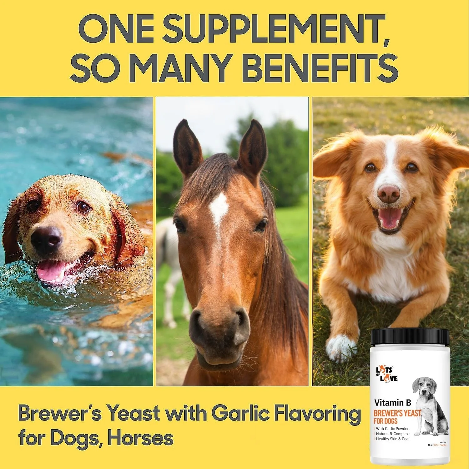 Lots of Love Brewer's Yeast/Garlic Powder - Image 3