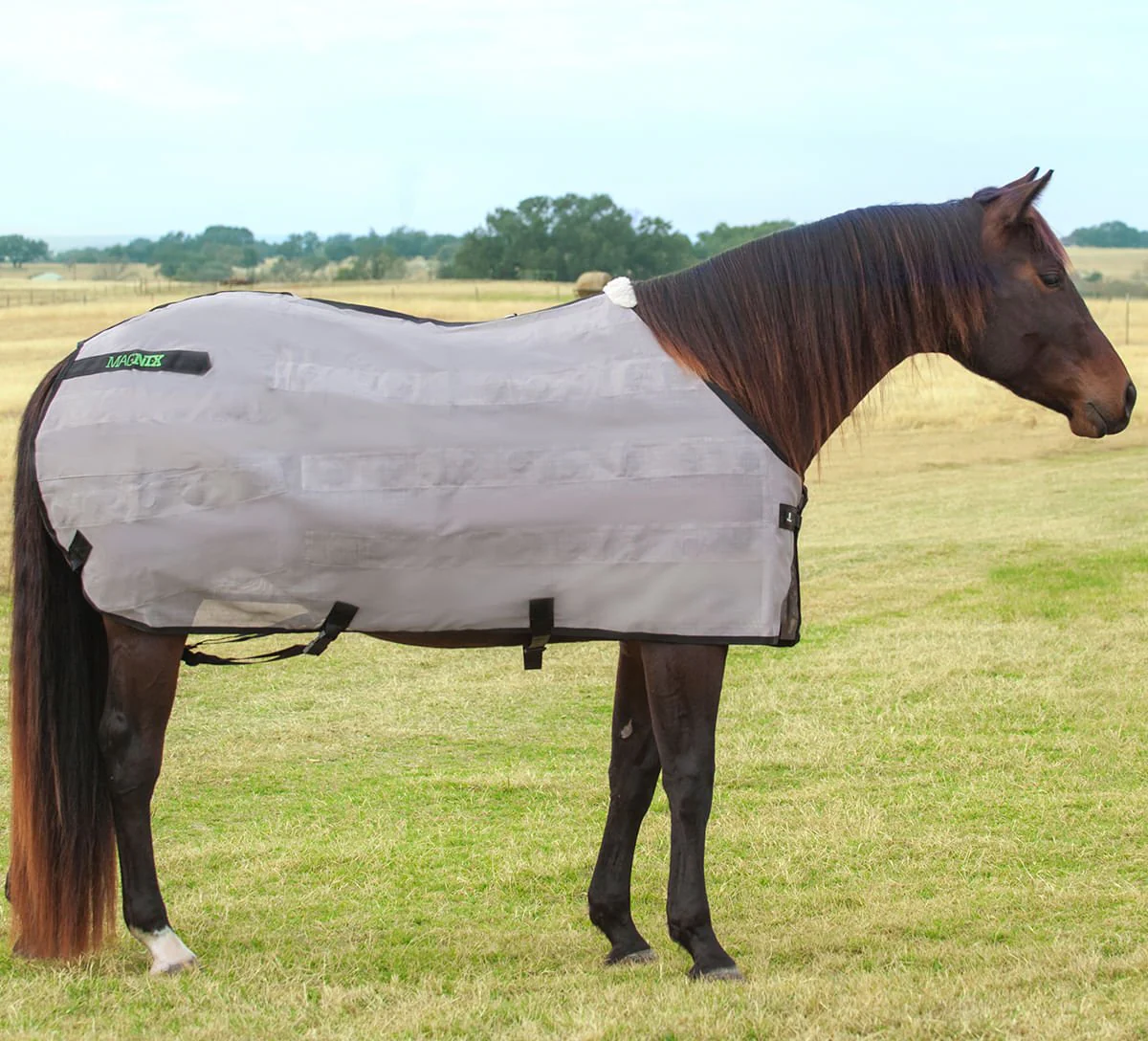 Classic Equine MagNTX Magnetic Horse Therapy Sheet - Image 3