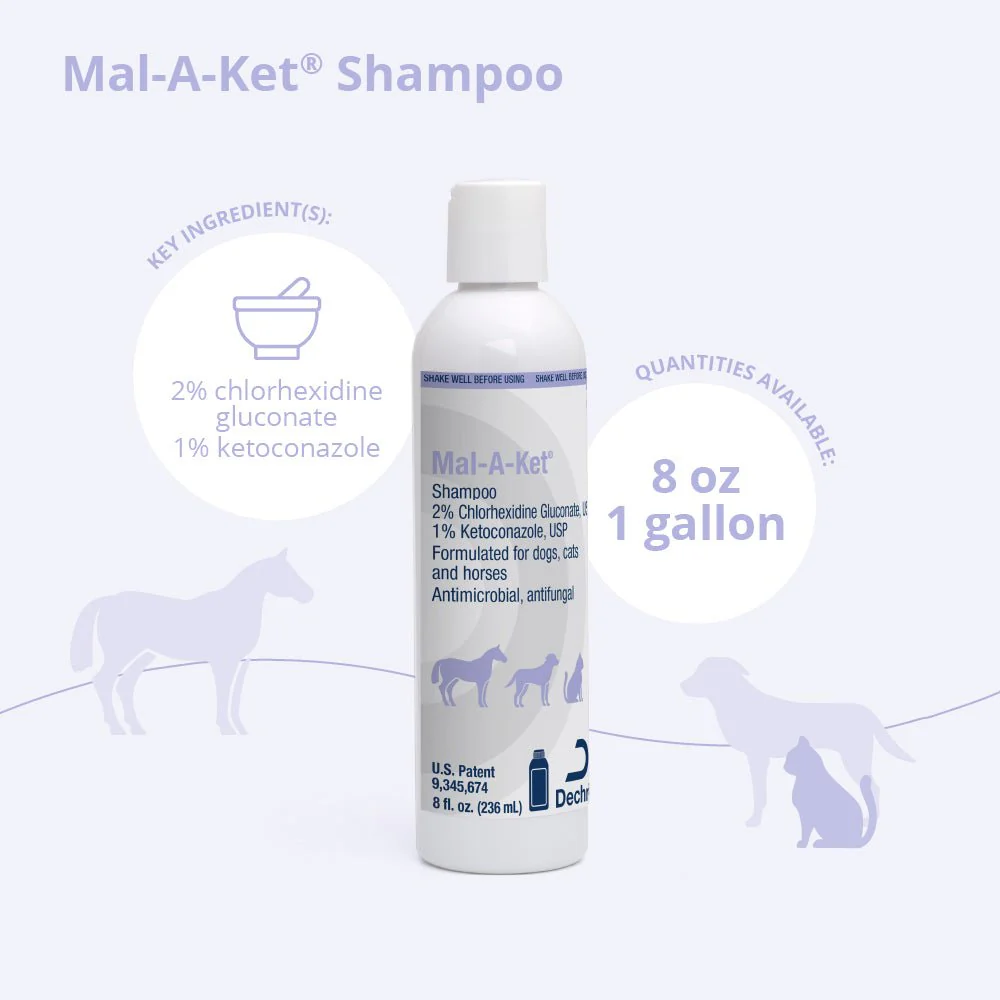 Mal-A-Ket Medicated Ketoconazole Chlorhexidine Shampoo for Horses, Dogs & Cats - Image 2