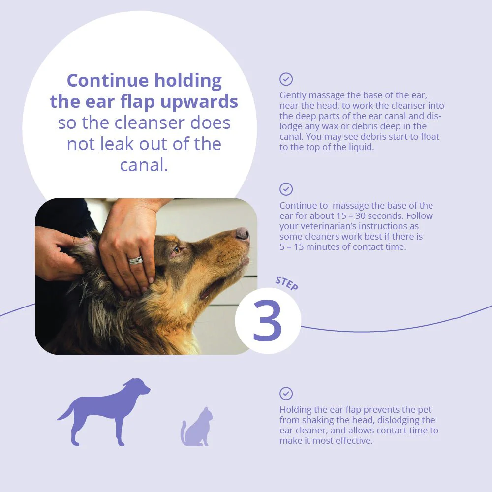 Malaseb Flush – Medicated Antibacterial & Antifungal Skin Flush for Dogs, Cats, and Horses - Image 6