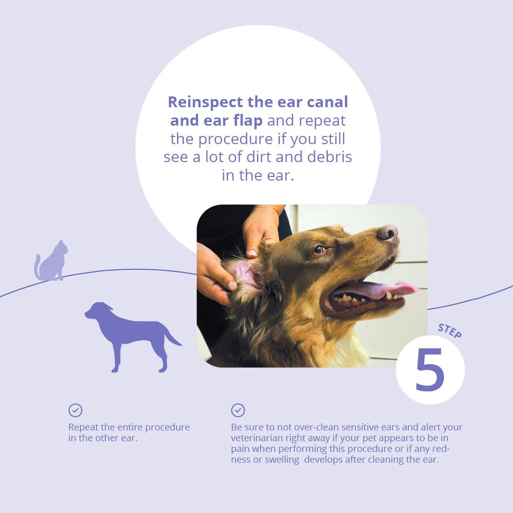 Malaseb Flush – Medicated Antibacterial & Antifungal Skin Flush for Dogs, Cats, and Horses - Image 8