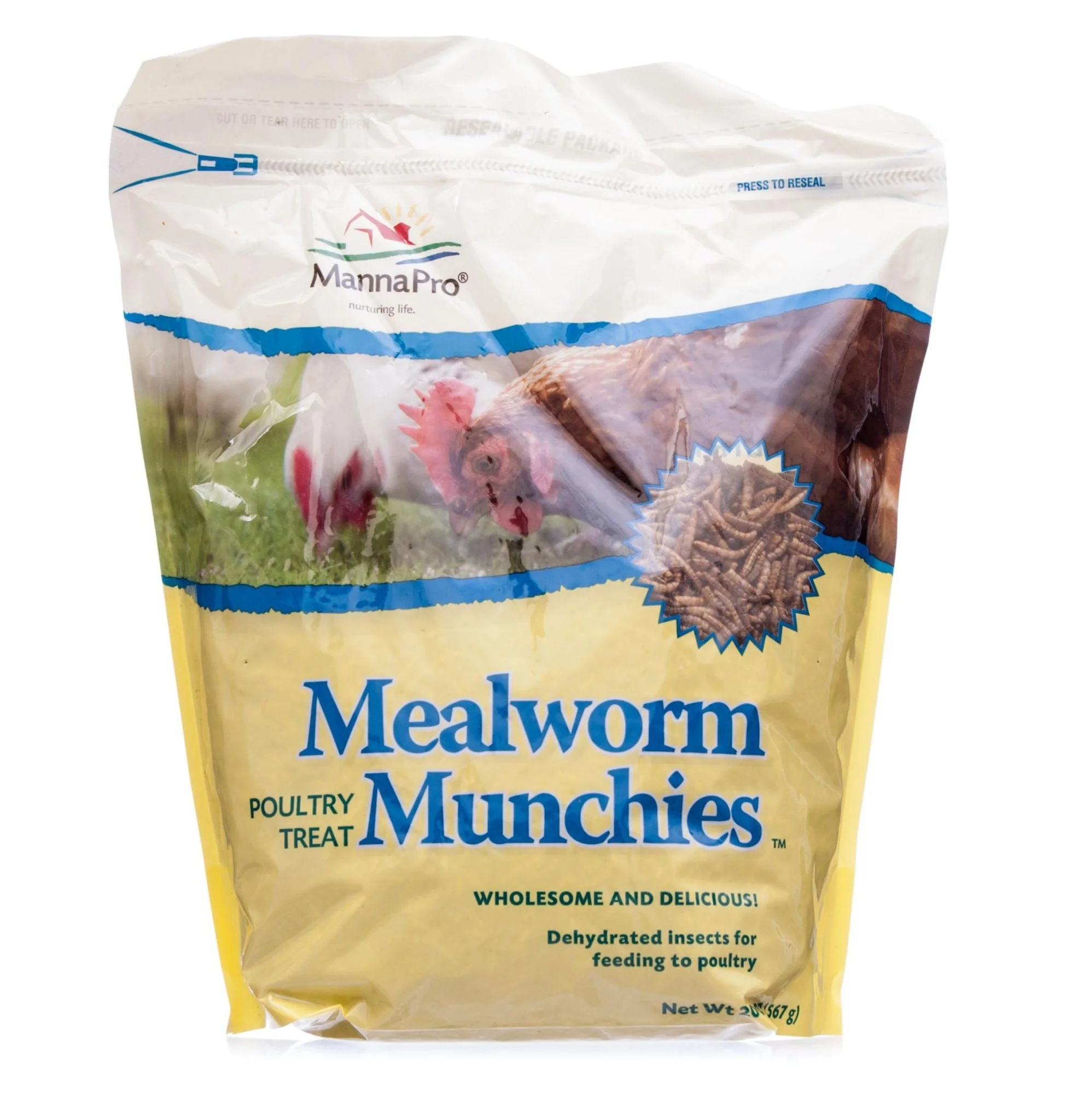 Mealworm Munchies - Image 5