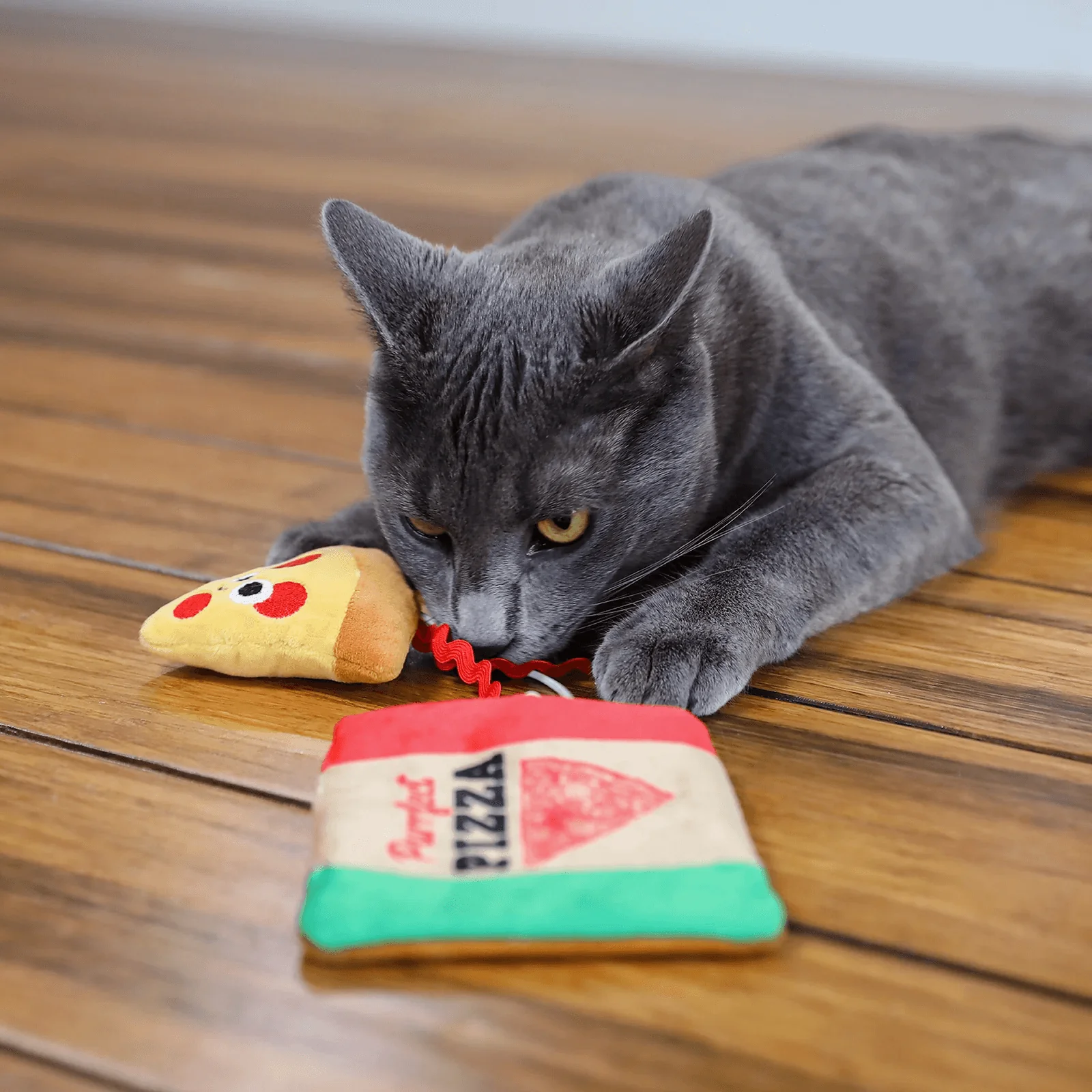 Mad Cat Purrfect Pizza - Image 5