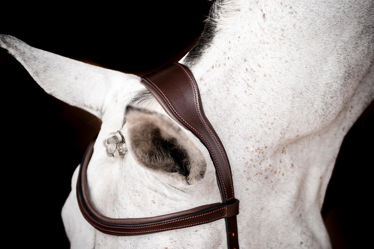 Rambo 2.0 Micklem Competition Leather Horse Bridle with Reins - Image 4