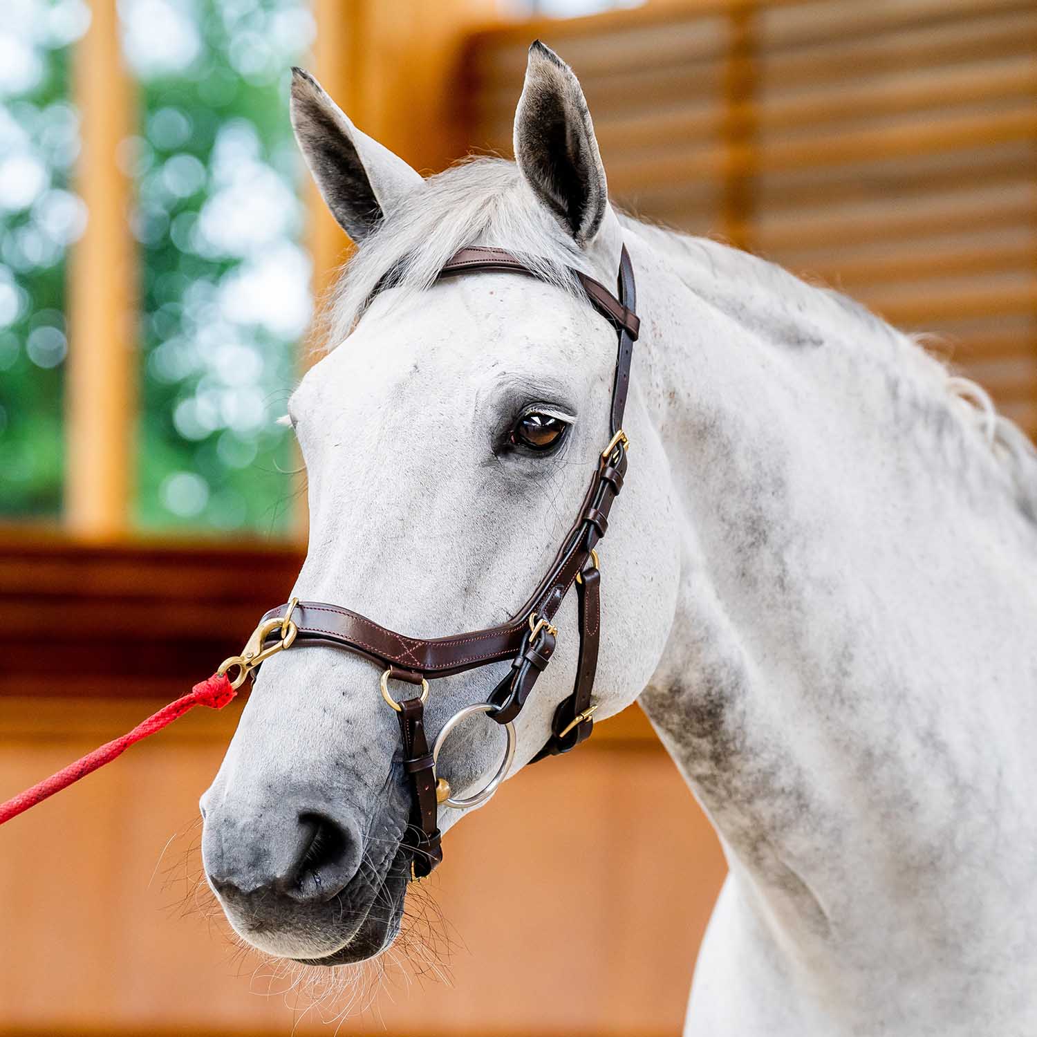 Micklem 2.0 Multi Bridle for Horses – Adjustable Bit Straps, Padded Leather, Pressure-Relief Design - Image 3