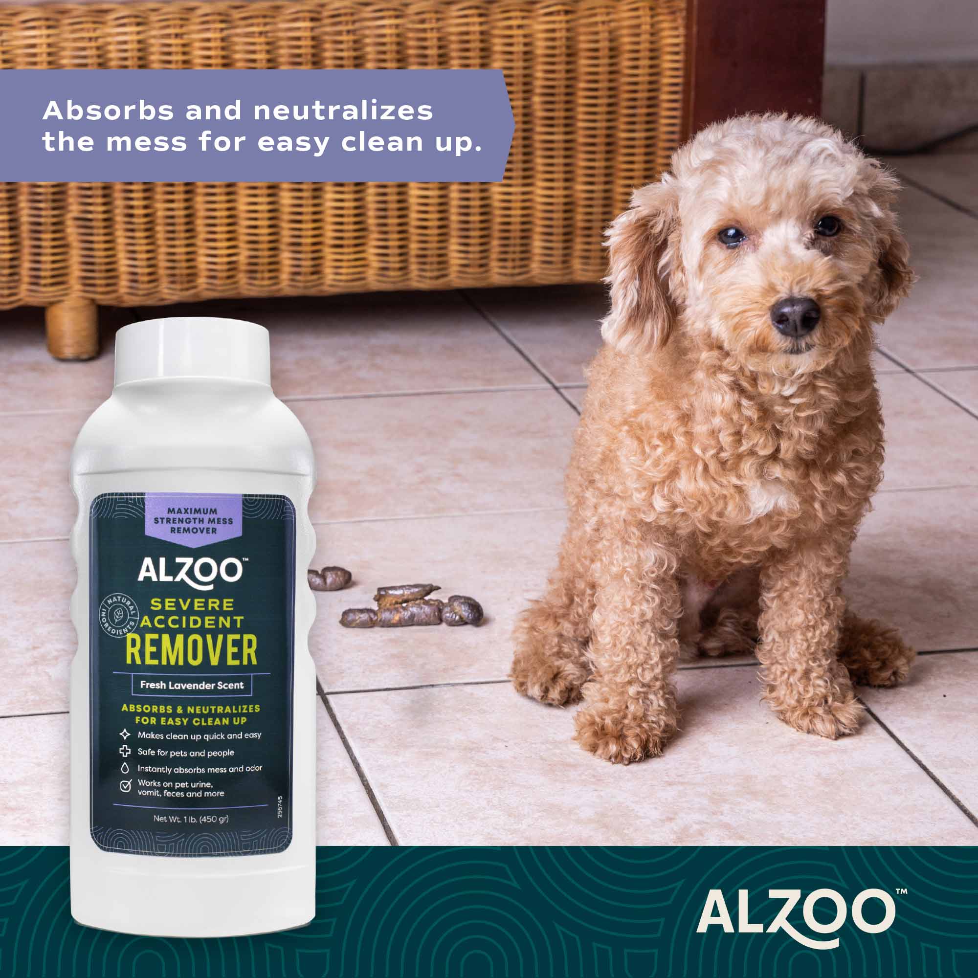Mineral-Based Severe Pet Accident Remover & Absorbent Deodorizer, Lavender Scented, 15.2 oz - Image 3