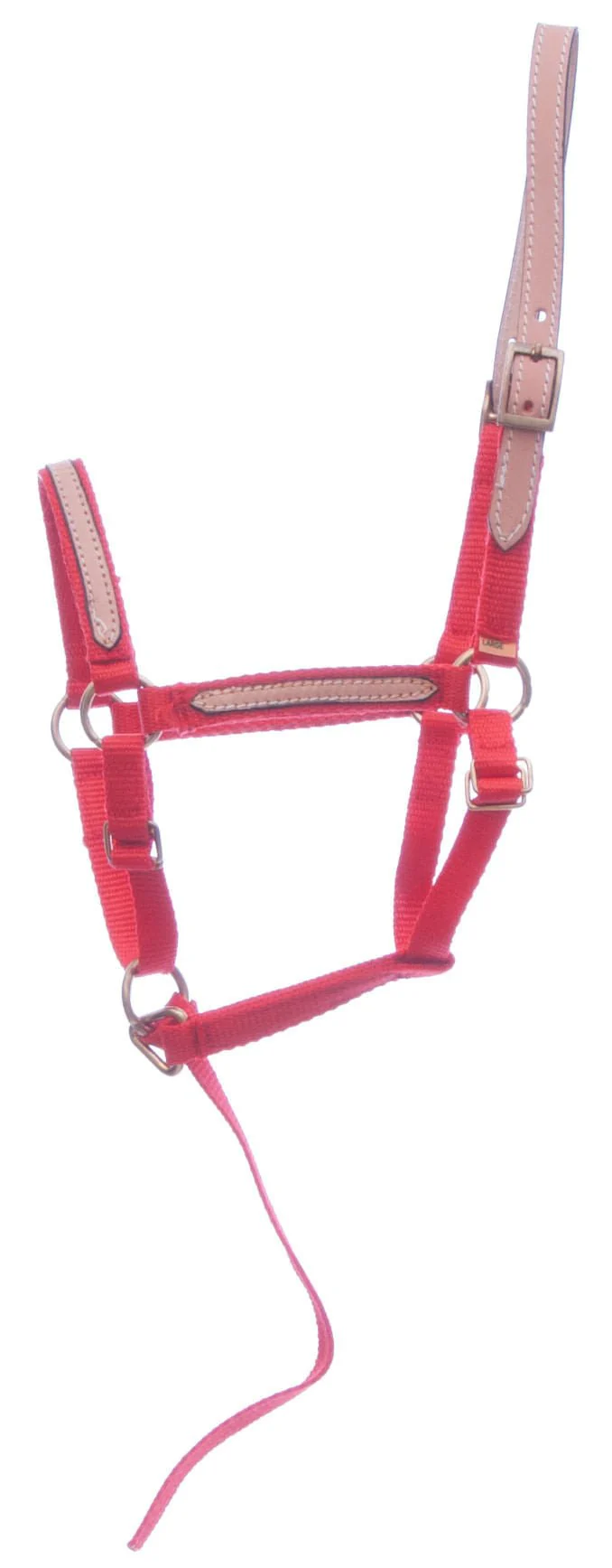 Tough1 Miniature Nylon Breakaway Halter, Large - Image 6