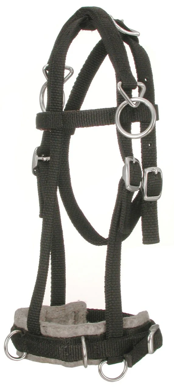 Miniature Horse Nylon Training Caveson, Brown - Image 2
