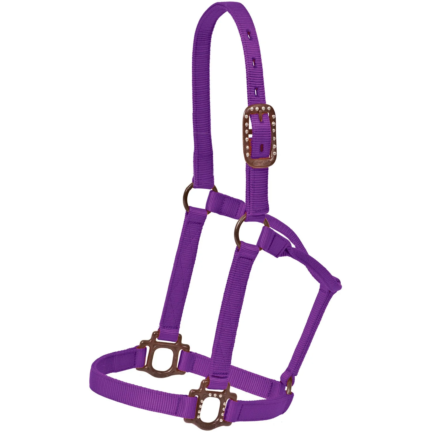 Mustang Nylon Halter with Antique Dot Hardware for Horses - Image 6
