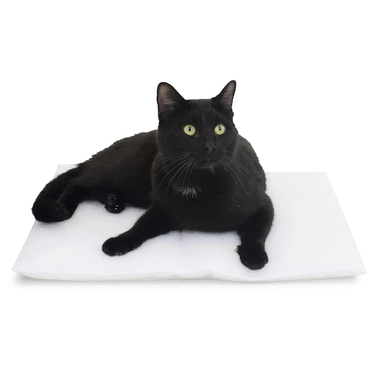 Mysterious Purr Padd for Cats - Image 2