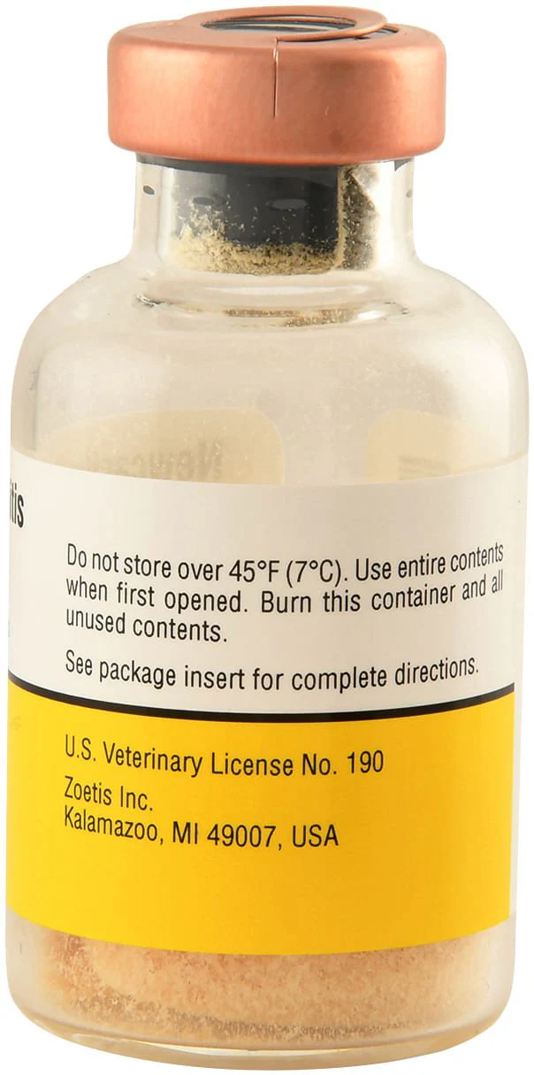 Newcastle-Bronchitis for Chickens - Image 2