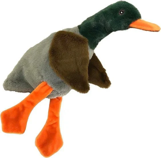 No Stuffies by Petsport - Image 2