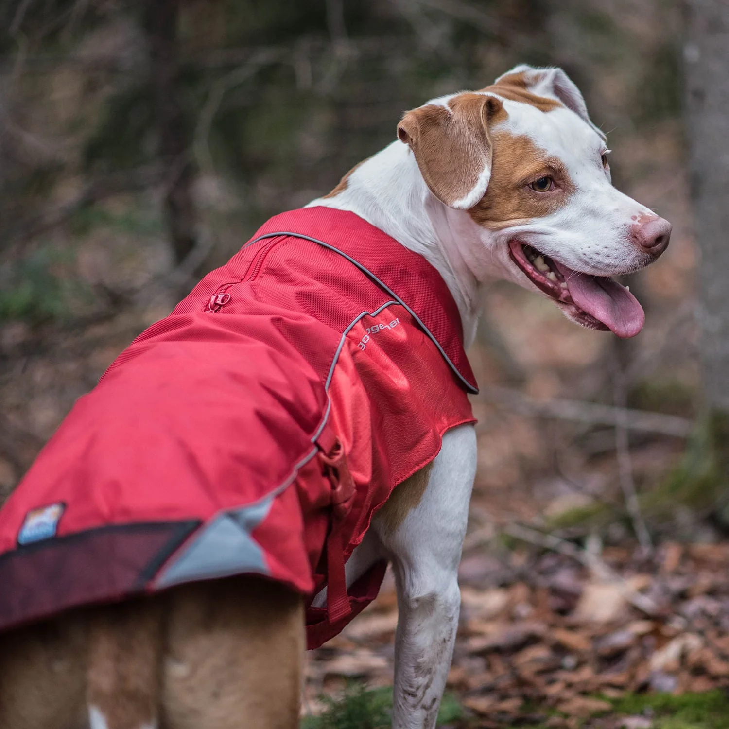 Kurgo North Country Coat for Dogs - Image 10