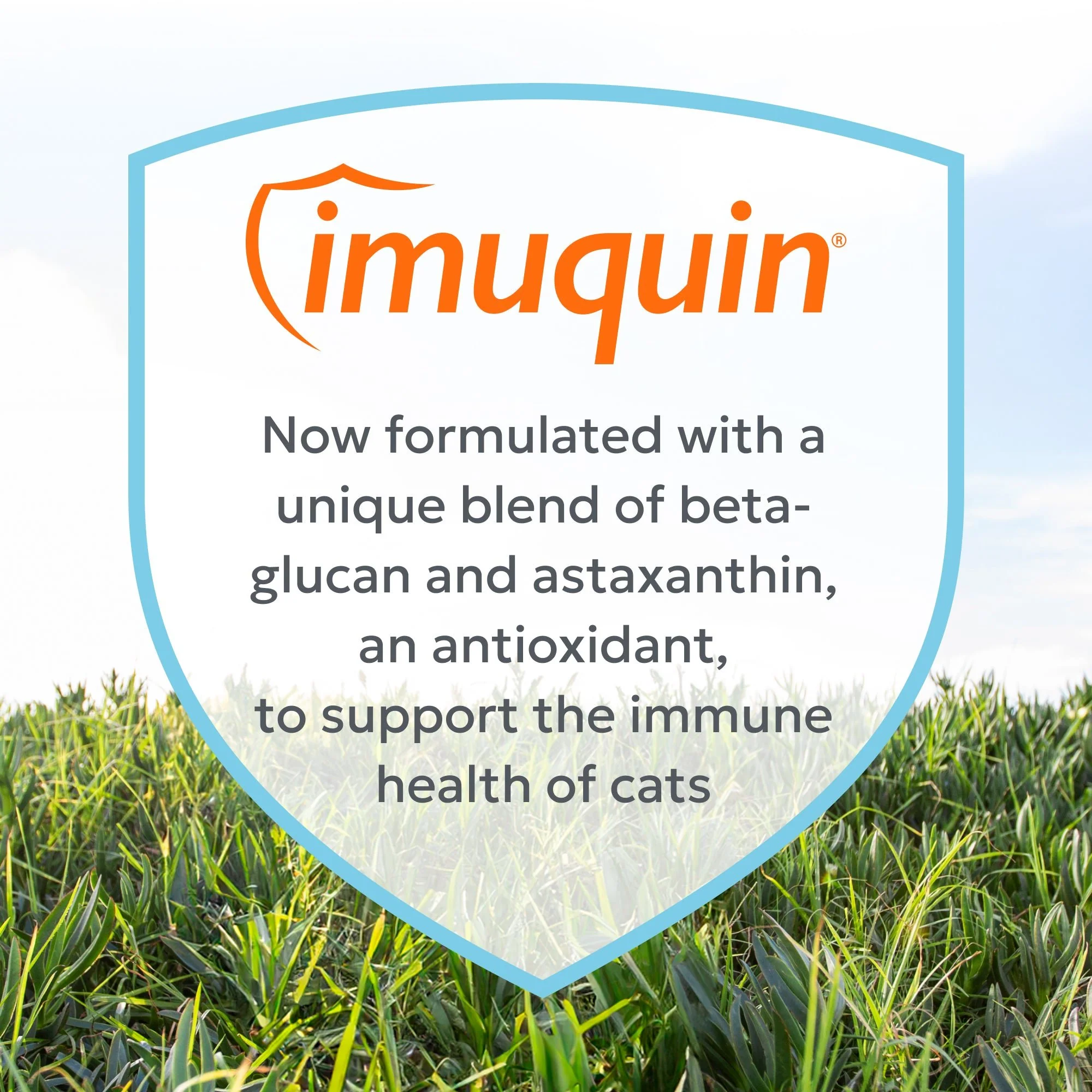 Nutramax Imuquin Immune Health Supplement Powder for Cats, With Beta Glucans, With Astaxanthin, 30 Sprinkle Capsules - Image 7