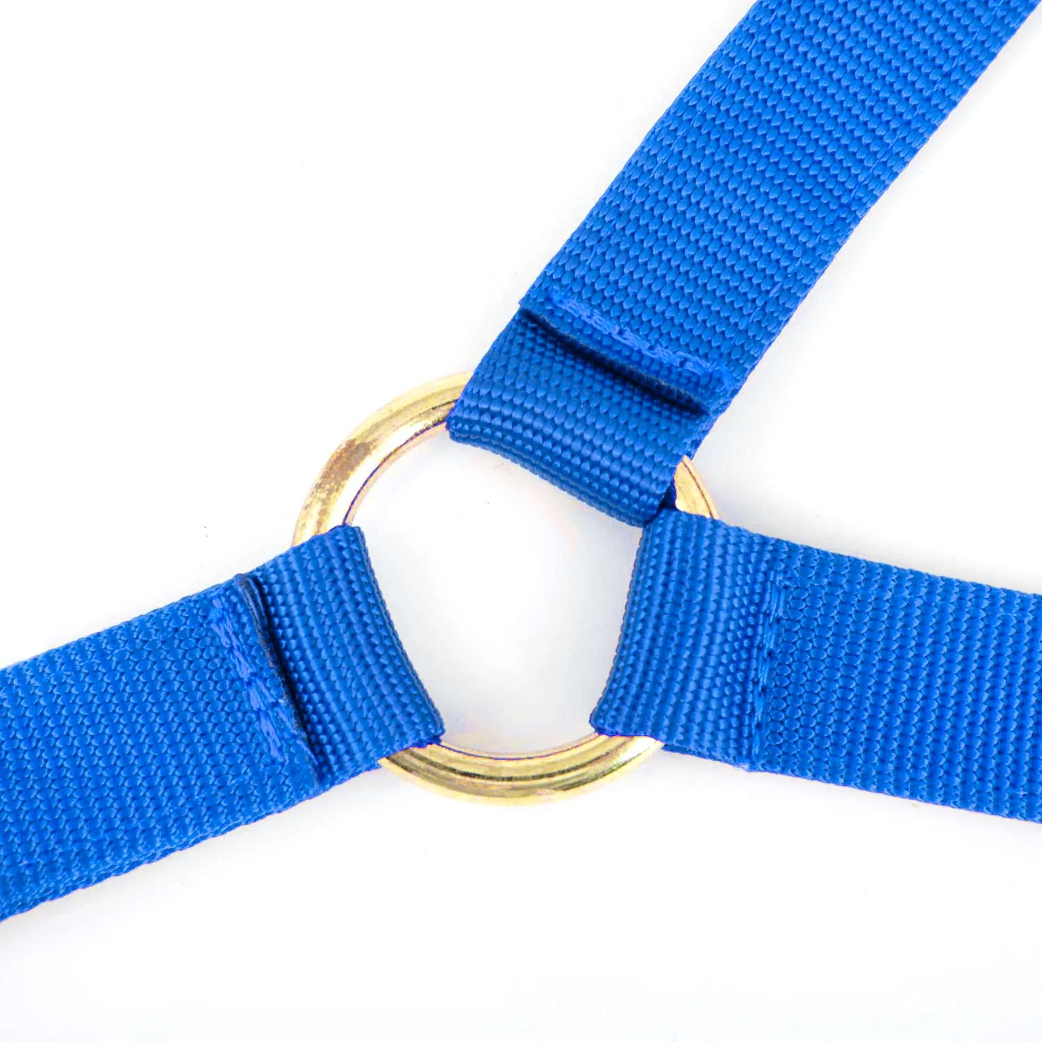 Jeffers Nylon Cow Halter - Image 13