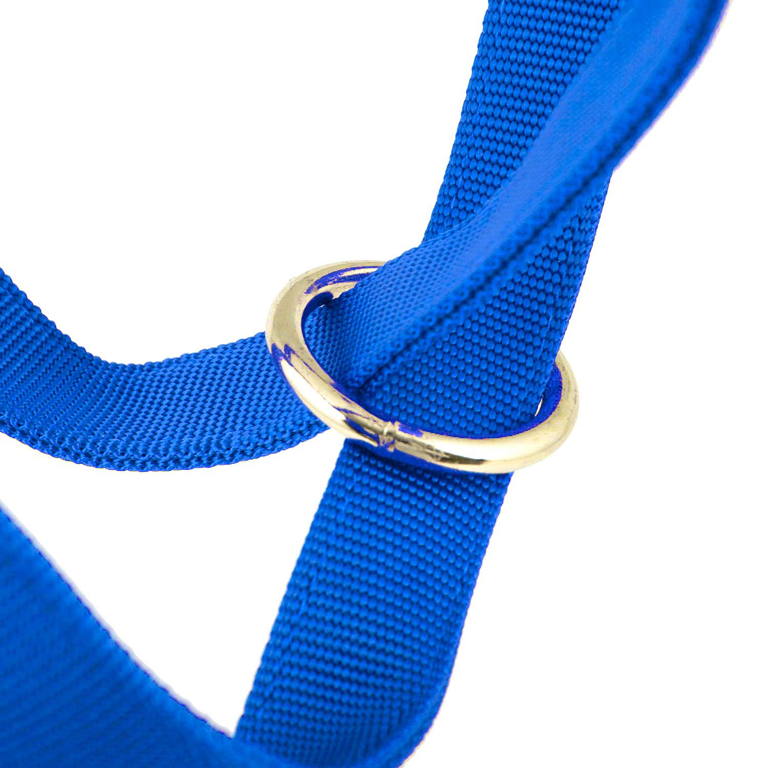 Jeffers Nylon Cow Halter - Image 14