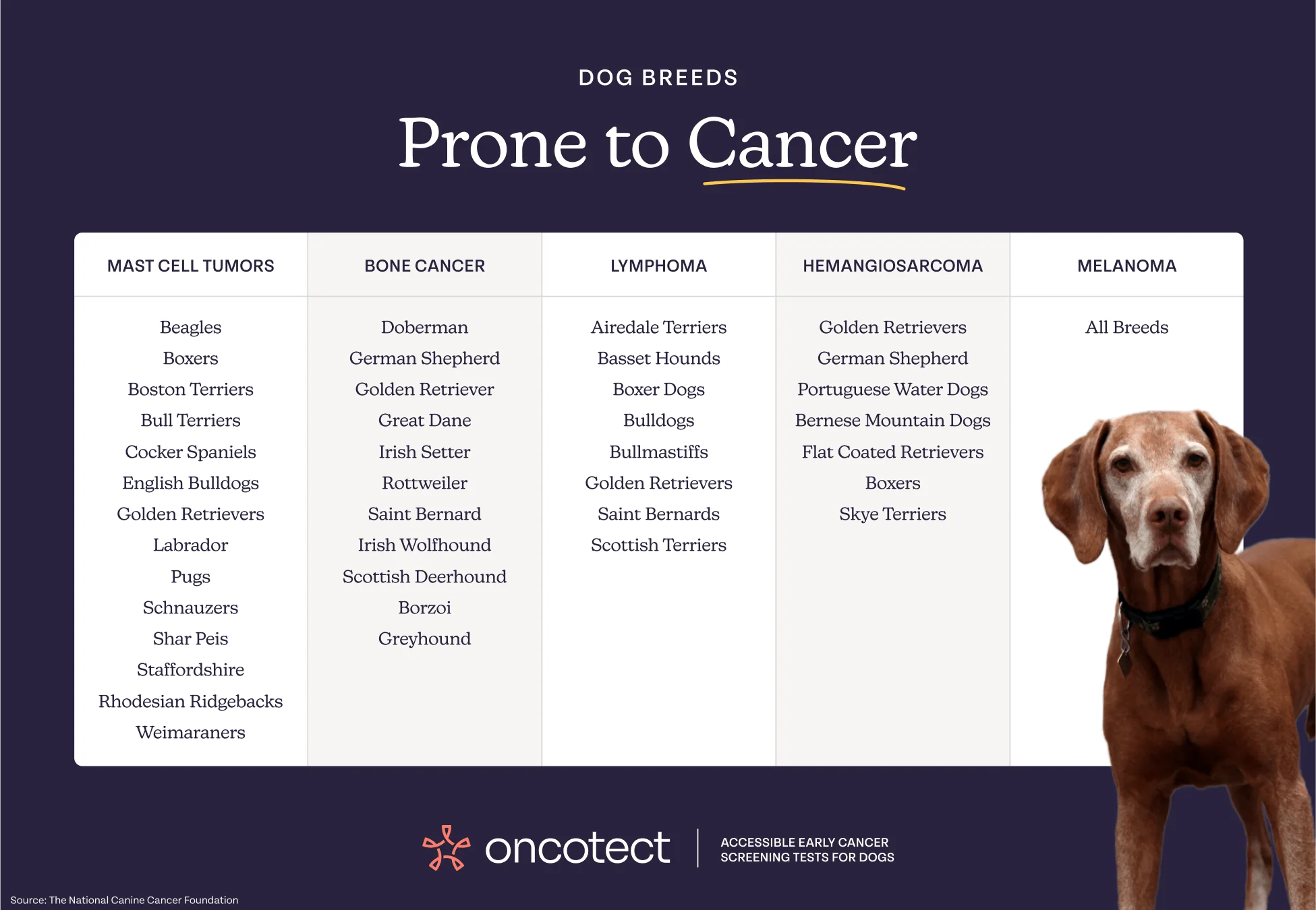 Oncotect Essential At-Home Dog Cancer Screening Test Kit - Image 5