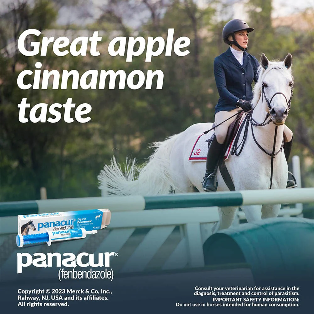 Panacur Equine Fenbendazole Dewormer Paste, 25 g - Image 4