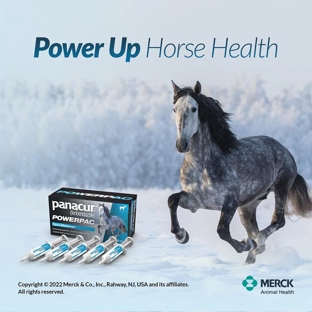 Panacur Powerpac Fenbendazole Horse Dewormer - Image 11