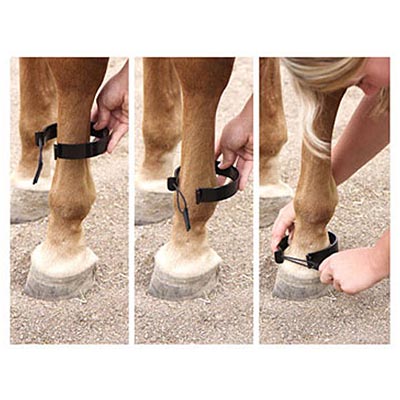 Paw-B-Gone Horse Ankle Bands, Pair - Image 2