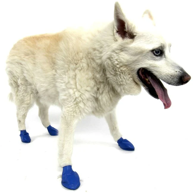 PawZ Waterproof Dog Boots – Disposable, Reusable, Non-Slip Paw Protectors, 12 Pack - Image 7