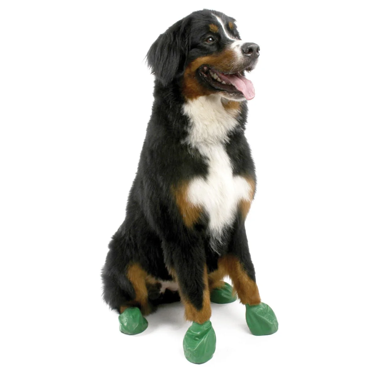 PawZ Waterproof Dog Boots – Disposable, Reusable, Non-Slip Paw Protectors, 12 Pack - Image 9