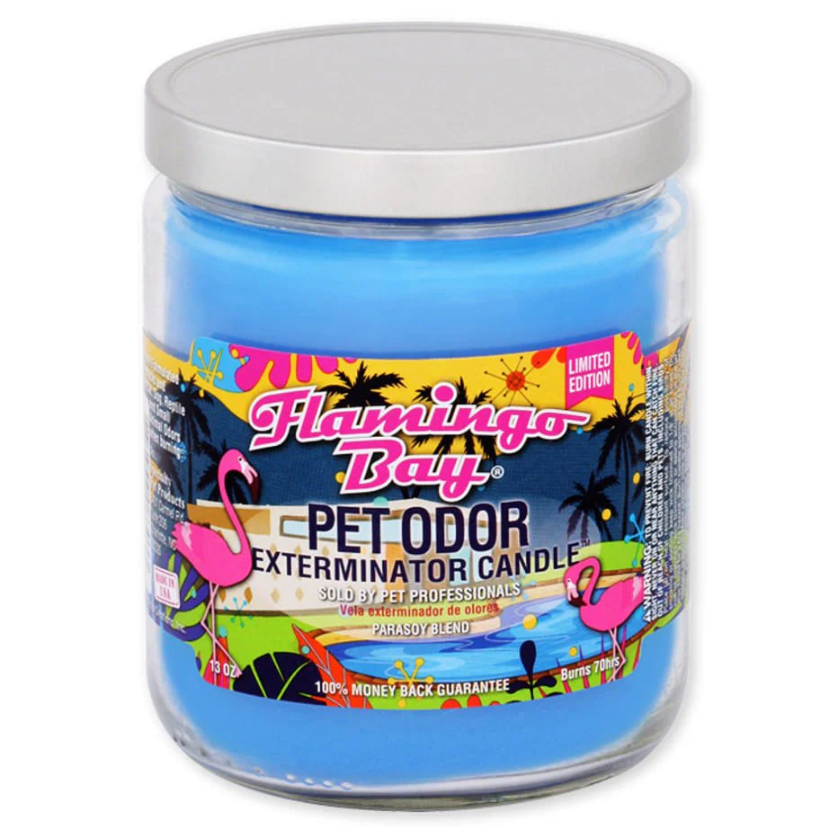 Pet Odor Exterminator Candle – Enzyme-Based Odor Eliminating Candle Safe for Pets - Image 19