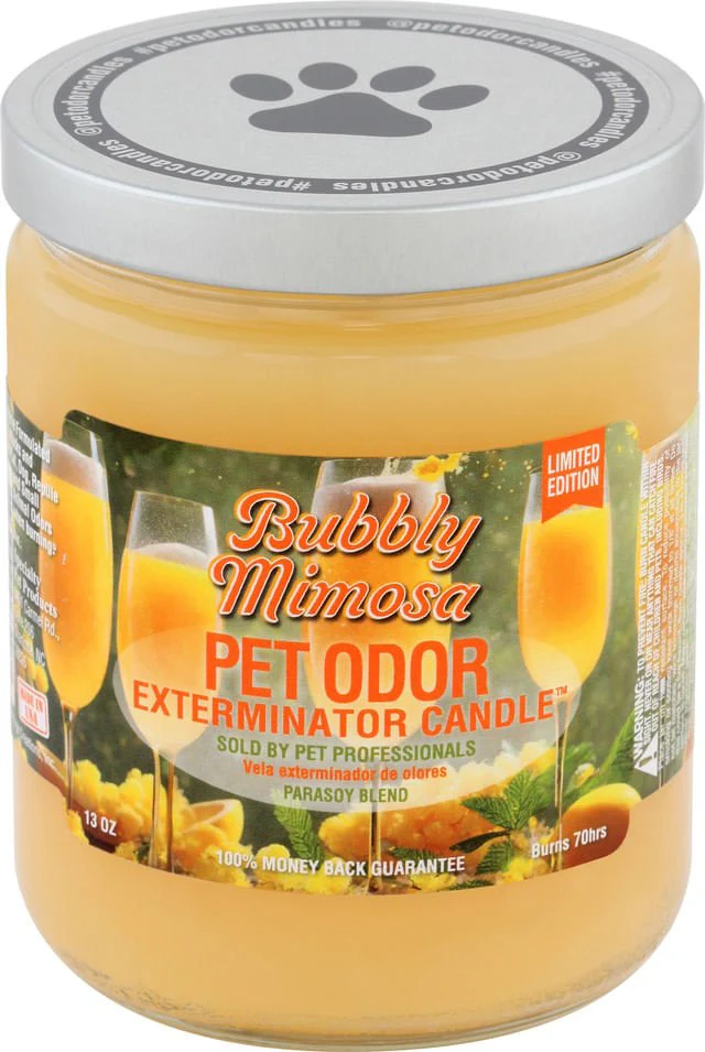 Pet Odor Exterminator Candle – Enzyme-Based Odor Eliminating Candle Safe for Pets - Image 9