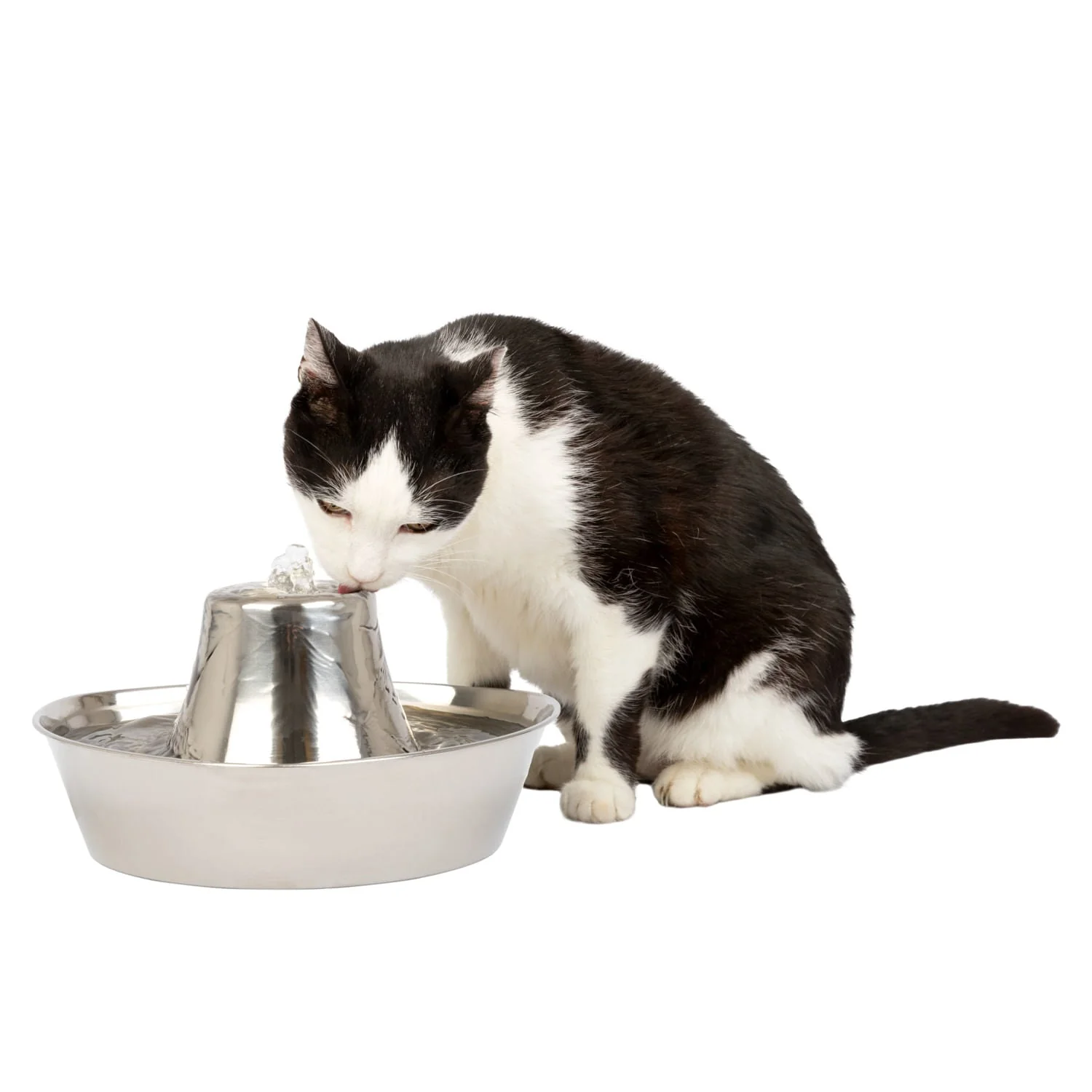 PetSafe Seaside Stainless Pet Fountain - Image 8