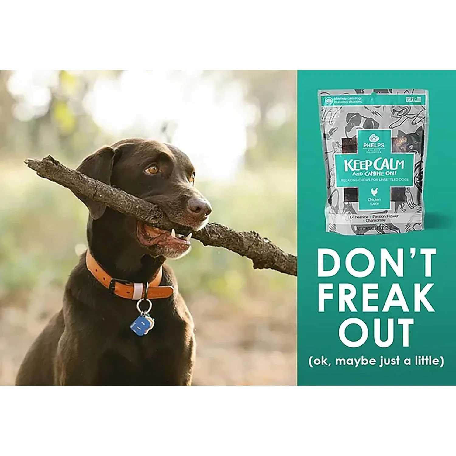Phelps Wellness Functional Dog Chew Supplements – Calming, Digestive, Skin & Coat, Hip & Joint, Sensitive Stomach & Brain Support Treats, 4.5 oz - Image 4