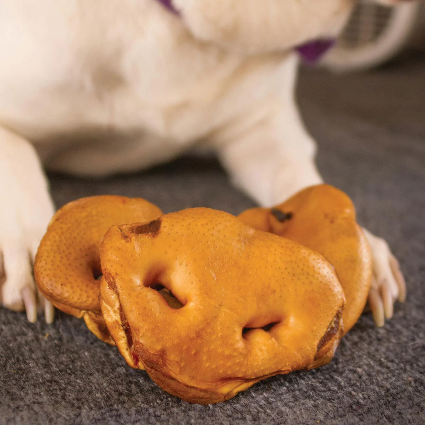 Smoked Pig Snout Dog Treat - Image 2