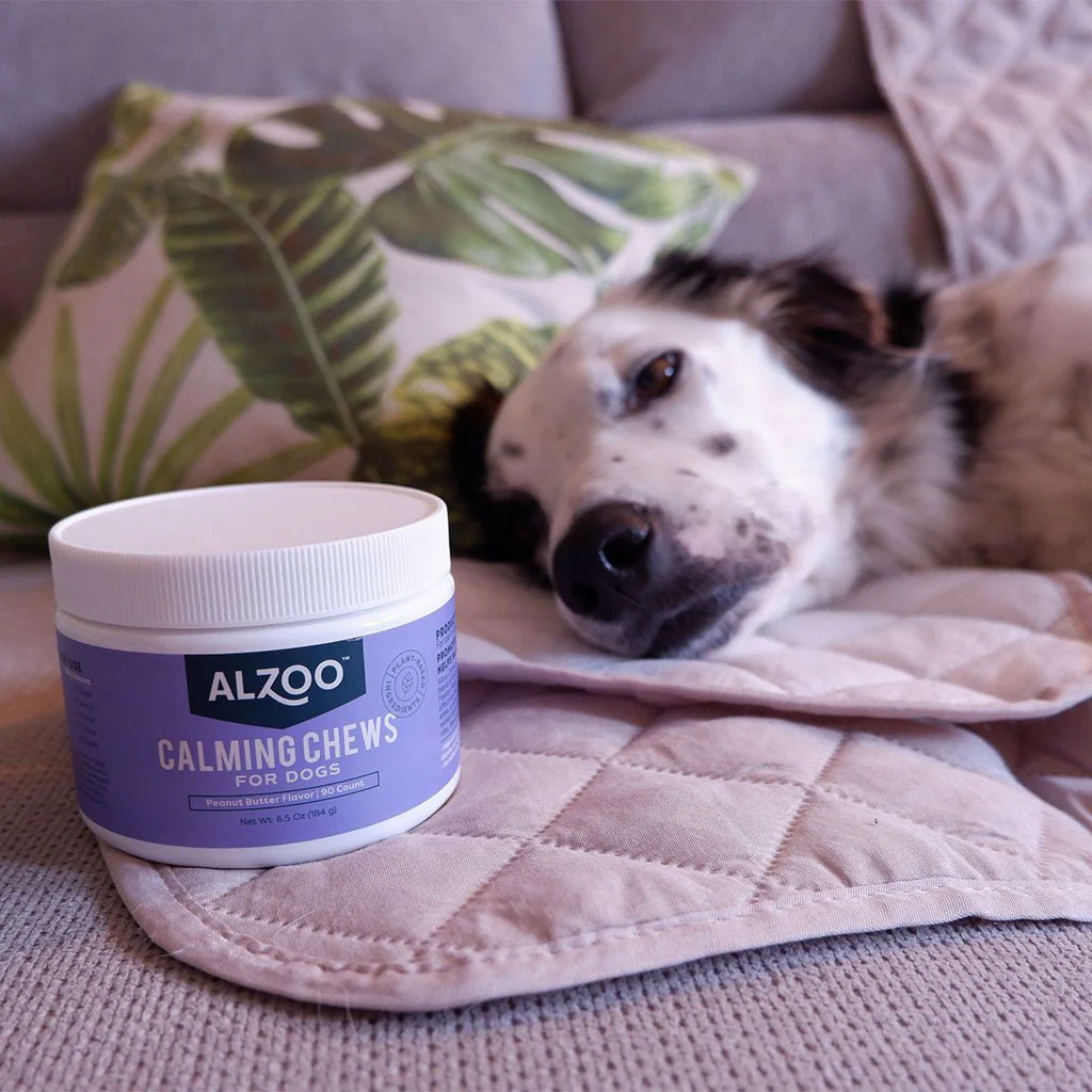 Plant-Based Calming Soft Chews for Dogs, 90 ct - Image 7