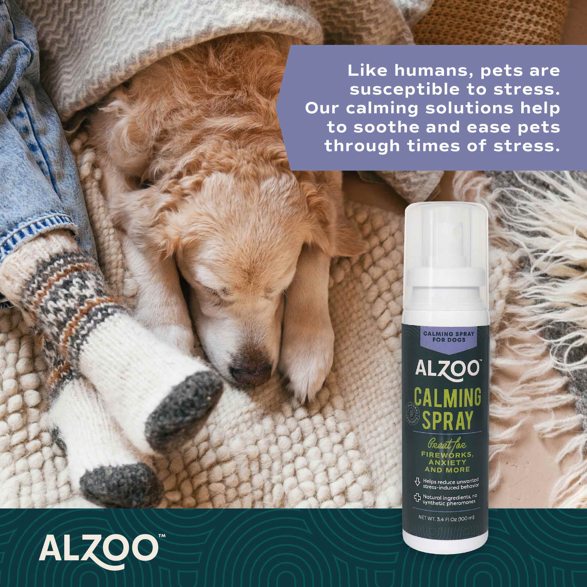 Plant-Based Calming Spray for Dogs, 3.4 oz - Image 4