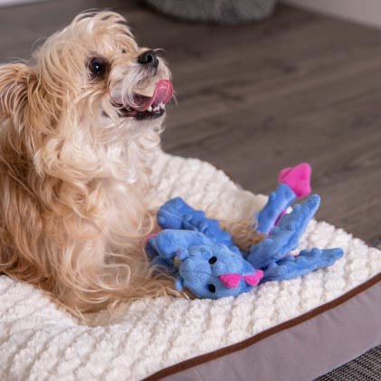 Plush Dragon Dog Toy - Image 29